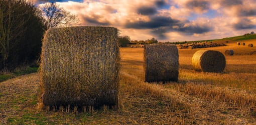 ballots de foin dans un champ avec coucher de soleil